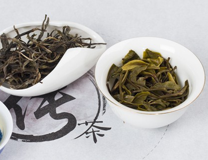 云南古茶、雨林古茶的功效和作用都有些什么