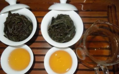 怎么区分布朗山老曼峨苦茶与甜茶